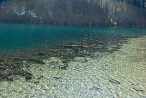 Från Almaty: Dagsutflykt till Kolsay-sjön, Charyn och Black Canyon