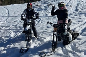 アルマトイからスノーモービルまたはスノーバイクでのビッグアルマトイ湖ツアー