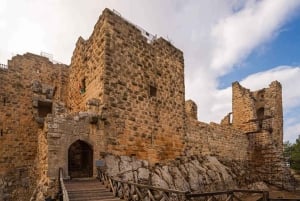 From Amman: Jerash, Ajloun Castle or Umm Qais Private Tour