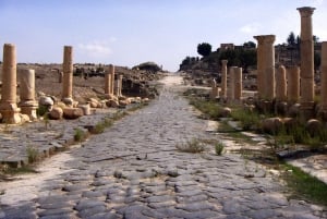 From Amman: Jerash, Ajloun Castle or Umm Qais Private Tour