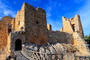 From Amman: Jerash, Ajloun Castle or Umm Qais Private Tour