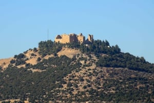 From Amman: Jerash, Ajloun Castle or Umm Qais Private Tour