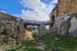 From Amman: Jerash, Ajloun Castle or Umm Qais Private Tour