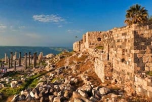 From Amman: Jerash, Ajloun Castle or Umm Qais Private Tour
