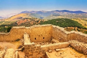 From Amman: Jerash, Ajloun Castle or Umm Qais Private Tour