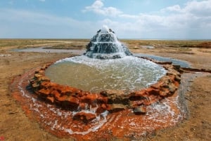 A partir de Aralsk: Excursão de 2 dias ao Mar de Aral, Akespe e barragem de Kokaral