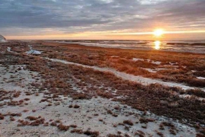 Von Chiwa zum Aralsee 2 Tage eine Übernachtung in der Jurte