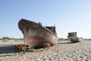 Von Chiwa zum Aralsee 2 Tage eine Übernachtung in der Jurte