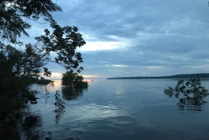 From Manaus: One-Day Amazon Jungle Experience