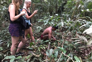 From Manaus: One-Day Amazon Jungle Experience