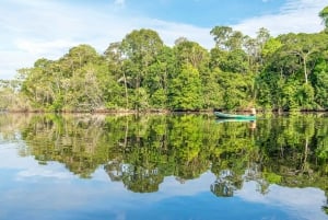 From Manaus: One-Day Amazon Jungle Experience
