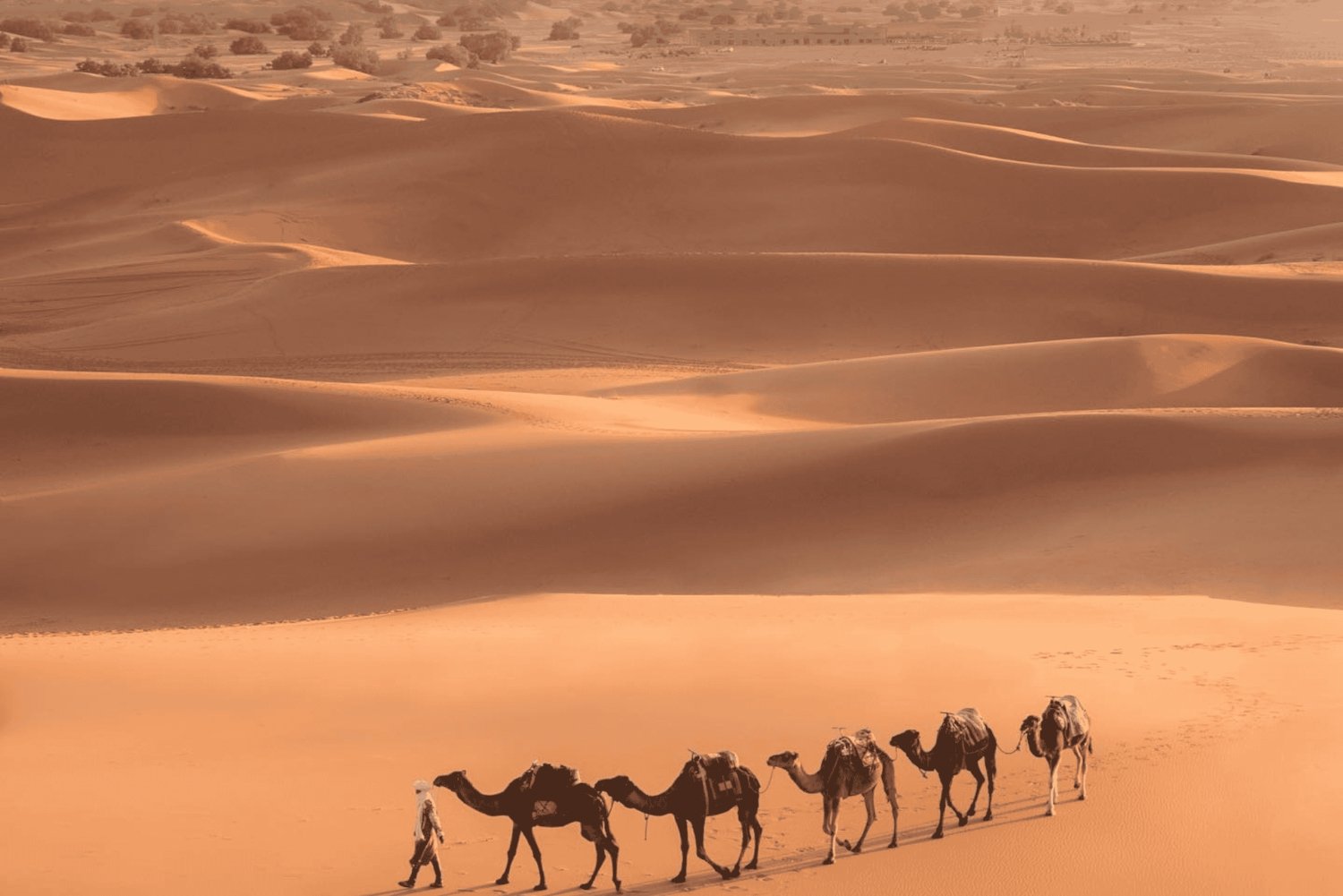 From Marrakech: 3-Day Merzouga and Sahara Desert Tour