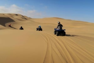 From Marrakech: Merzouga 3-Day Desert Safari with Food