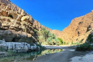 From Muscat: Wadi Shab & Bimmah Sinkhole Full-Day Tour