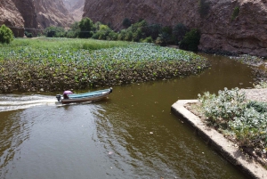 From Muscat: Wadi Shab & Bimmah Sinkhole Full-Day Tour
