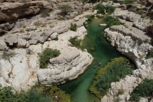 From Muscat: Wadi Shab & Bimmah Sinkhole Full-Day Tour
