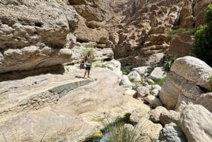 From Muscat: Wadi Shab & Bimmah Sinkhole Full-Day Tour