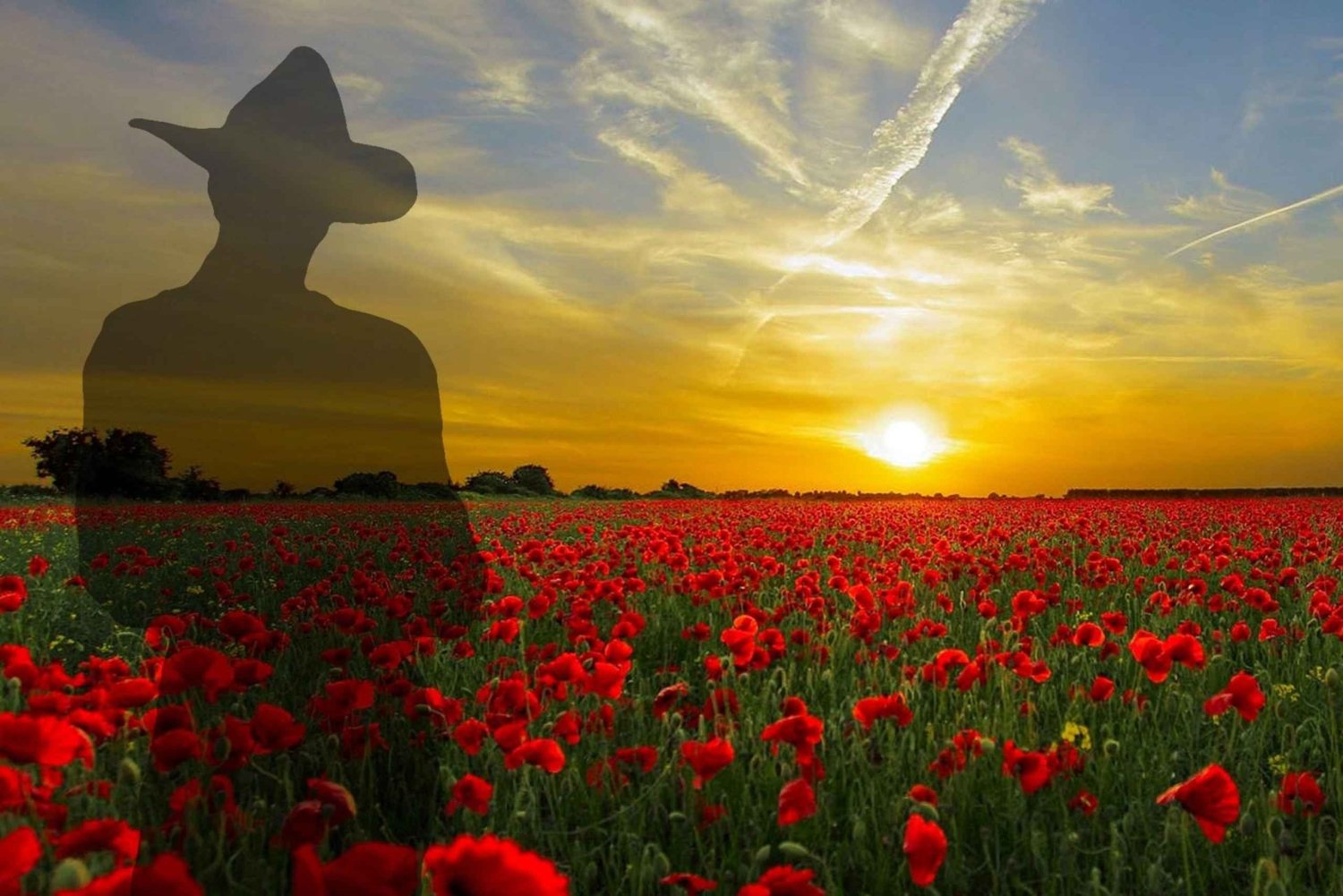 Gallipoli Full-Day Tour from Istanbul