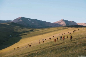 Kazakhstan: One day tour to Assy plateau and Bear waterfall