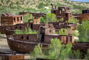 Paraíso Perdido - Mar de Aral Excursión 2 días/1 noche