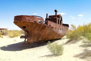 Paraíso Perdido - Mar de Aral Excursión 2 días/1 noche