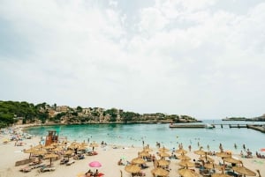 Mallorca: Caves of Drach Day Trip & Optional Caves of Hams