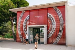 Mallorca: Caves of Drach Day Trip & Optional Caves of Hams