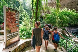 Mallorca: Caves of Drach Day Trip & Optional Caves of Hams