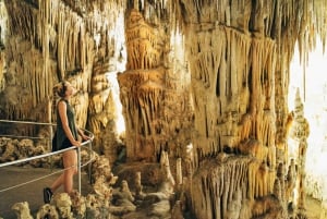Mallorca: Caves of Drach Day Trip & Optional Caves of Hams