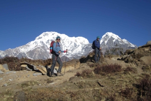 Mohare Danda – Ghorepani – Poon Hill Trek – 7 dagar