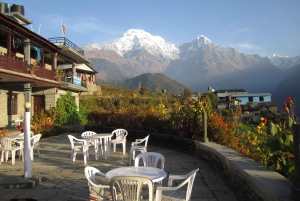 Mohare Danda – Ghorepani – Poon Hill Trek – 7 dagar