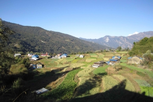 Mohare Danda – Ghorepani – Poon Hill Trek – 7 dagar