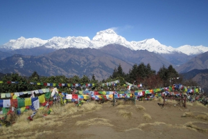 Mohare Danda – Ghorepani – Poon Hill Trek – 7 dagar