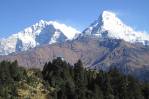 Mohare Danda – Ghorepani – Poon Hill Trek – 7 dagar