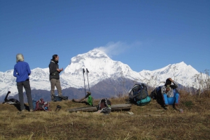 Mohare Danda – Ghorepani – Poon Hill Trek – 7 dagar