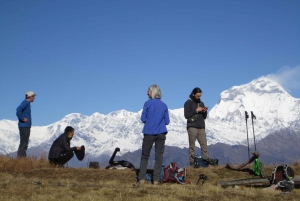 Mohare Danda – Ghorepani – Poon Hill Trek – 7 dagar