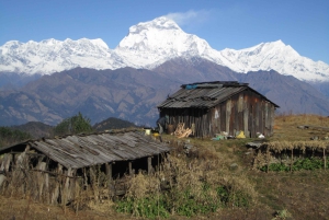 Mohare Danda – Ghorepani – Poon Hill Trek – 7 dagar