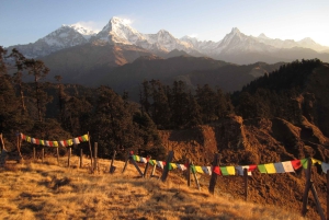 Mohare Danda – Ghorepani – Poon Hill Trek – 7 dagar