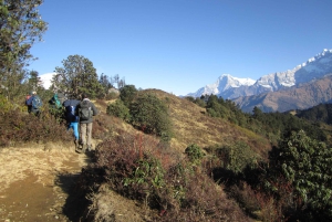 Mohare Danda – Ghorepani – Poon Hill Trek – 7 dagar