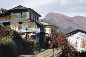 Mohare Danda – Ghorepani – Poon Hill Trek – 7 dagar