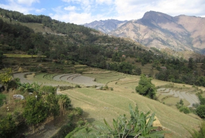 Mohare Danda – Ghorepani – Poon Hill Trek – 7 dagar