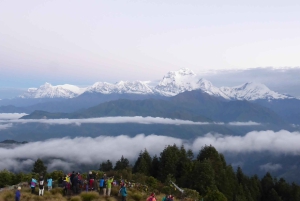 Mohare Danda – Ghorepani – Poon Hill Trek – 7 dagar