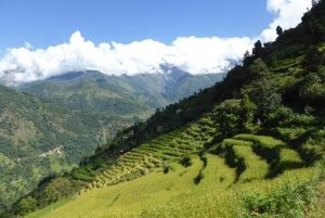 Mohare Danda – Ghorepani – Poon Hill Trek – 7 dagar