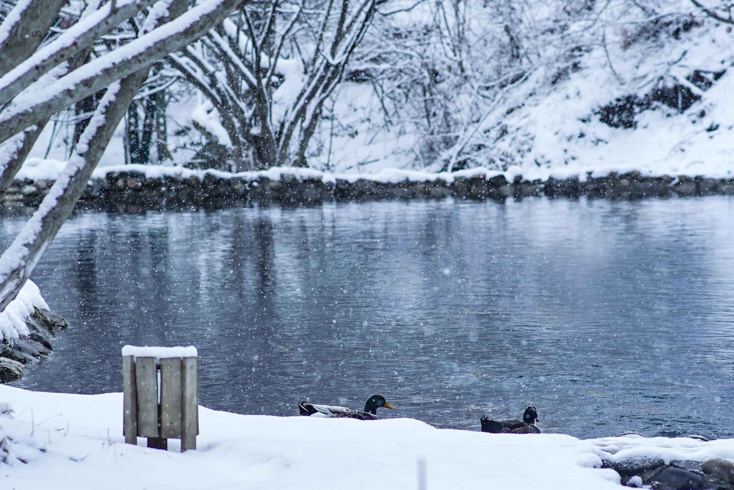 Norra Azerbajdzjans naturskatter på 5 dagar