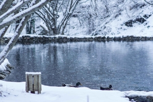 Norra Azerbajdzjans naturskatter på 5 dagar