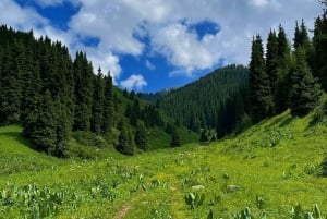 Nomad Paths: Private Hiking Tour in Almaty Mountains