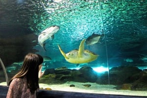 Biglietto d'ingresso per l'Oceanario di Astana