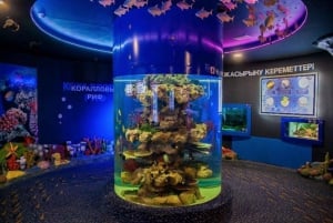 Biglietto d'ingresso per l'Oceanario di Astana