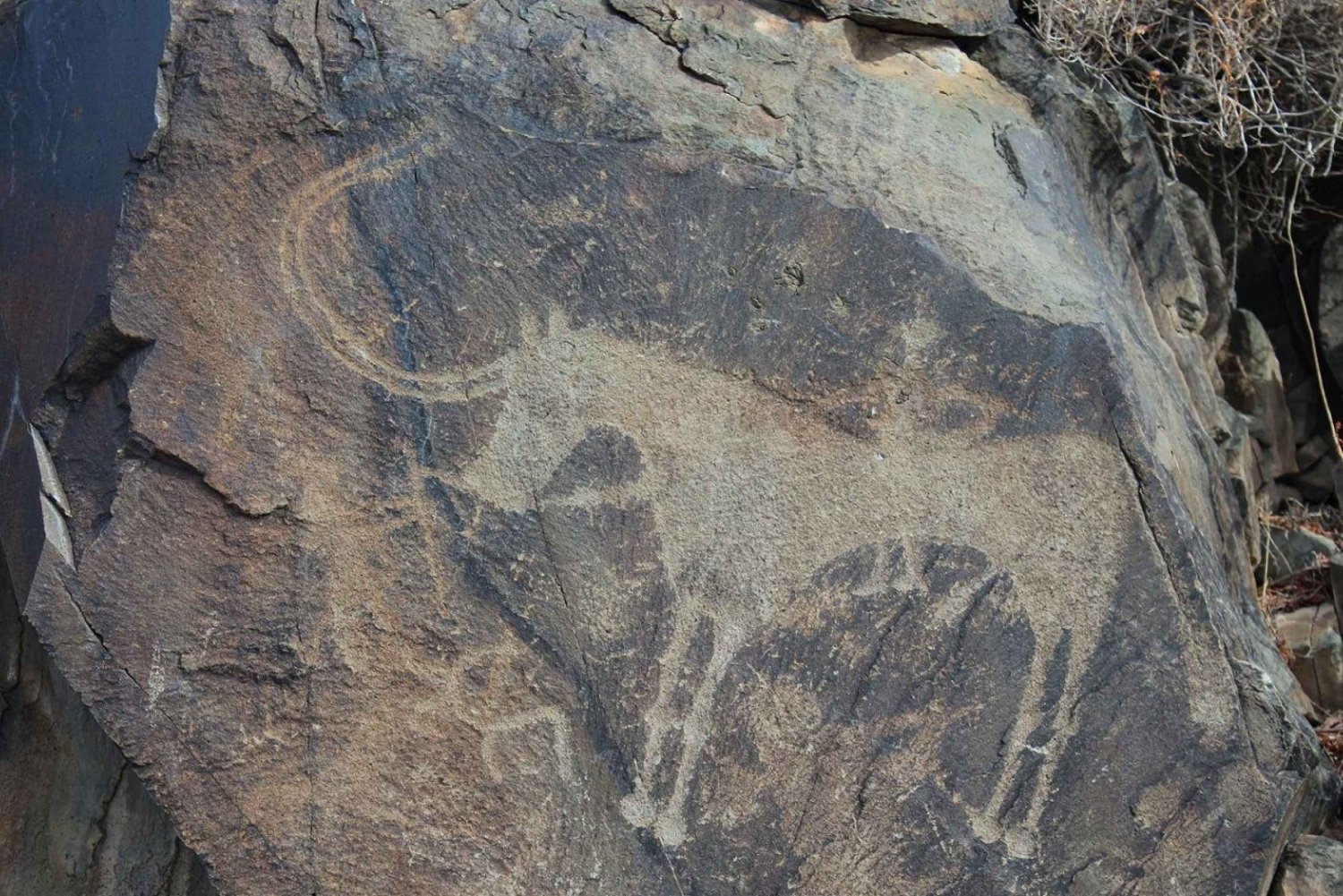Petroglyfer i Tanbaly UNESCO