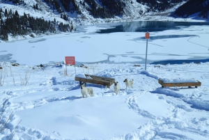 Almaty: Big Almaty Lake Yksityinen autokierros patikointimahdollisuudella